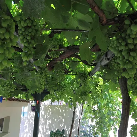 Victoria 3* Dubrovnik