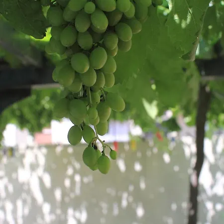 ヴィクトリア ゲストハウス 3*