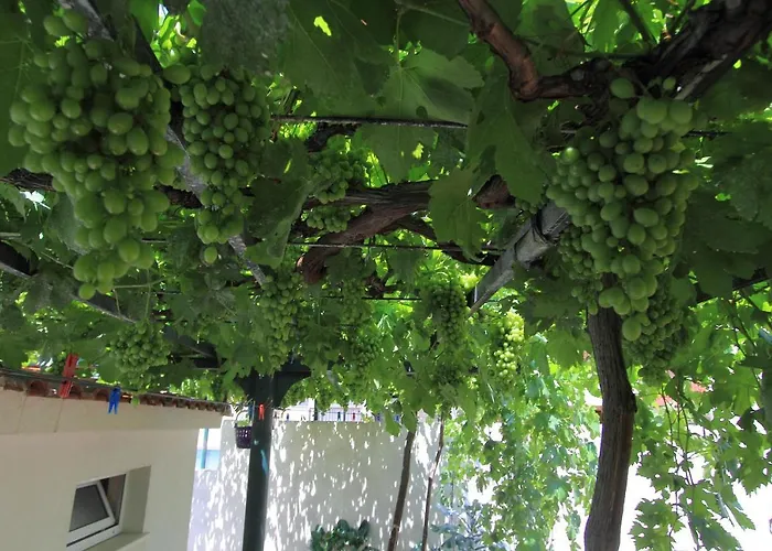 Victoria 3* Dubrovnik