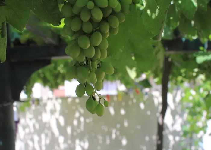 Victoria Vendégház 3*