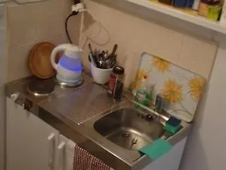 维多利亚旅馆 3*