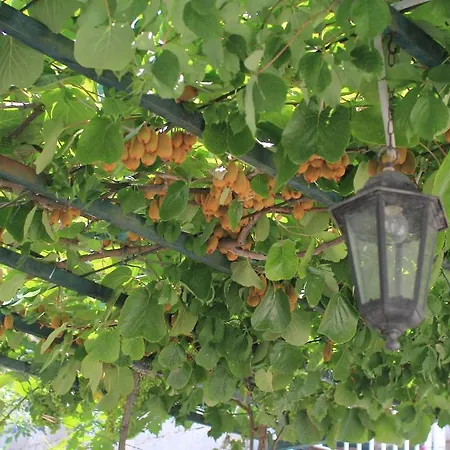 Victoria 3* Dubrovnik